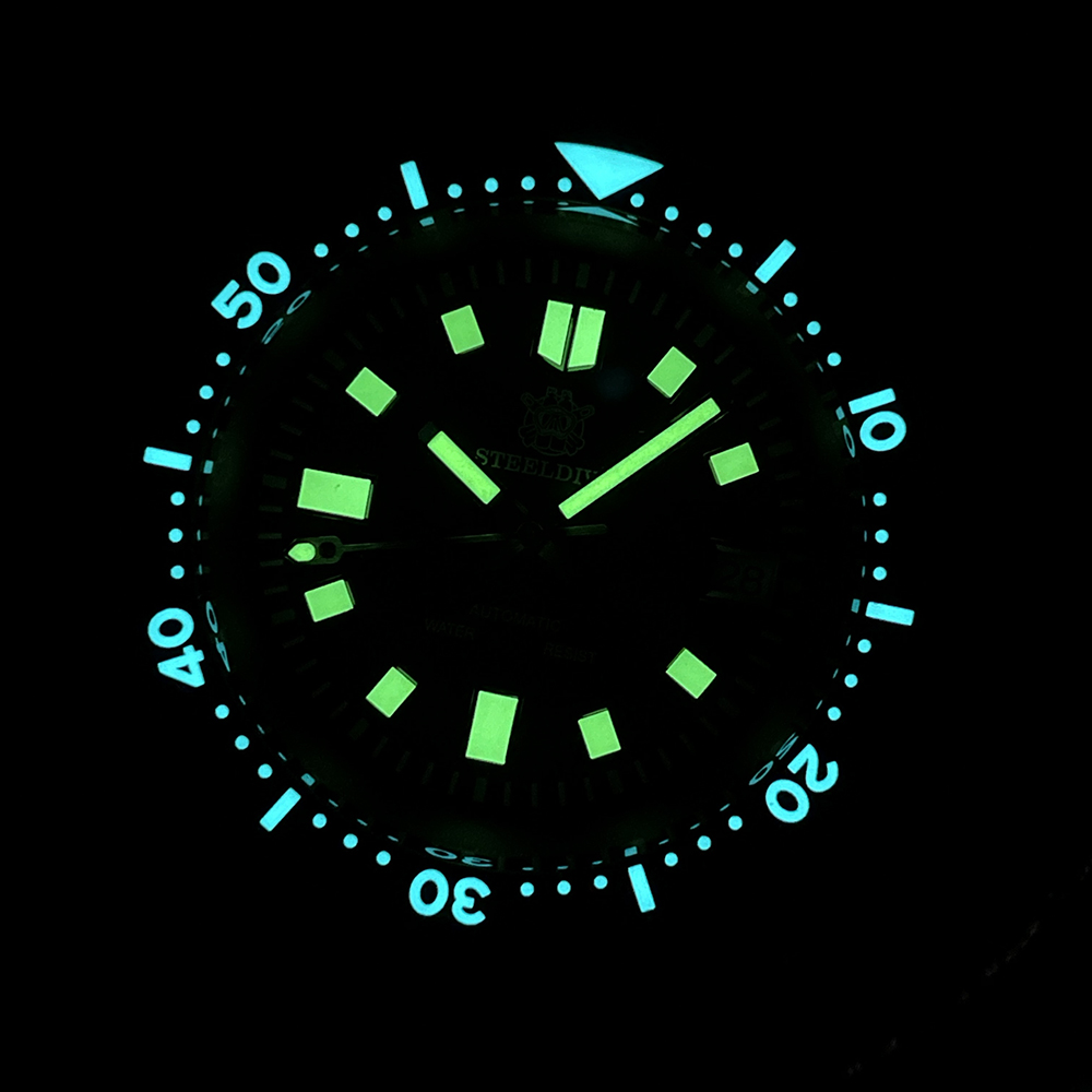SD1970 Steeldive Brand 44MM AR - Titanium Sport Watch บทวิจารณ์และราคา